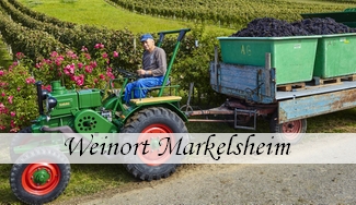 Weinort Markelsheim